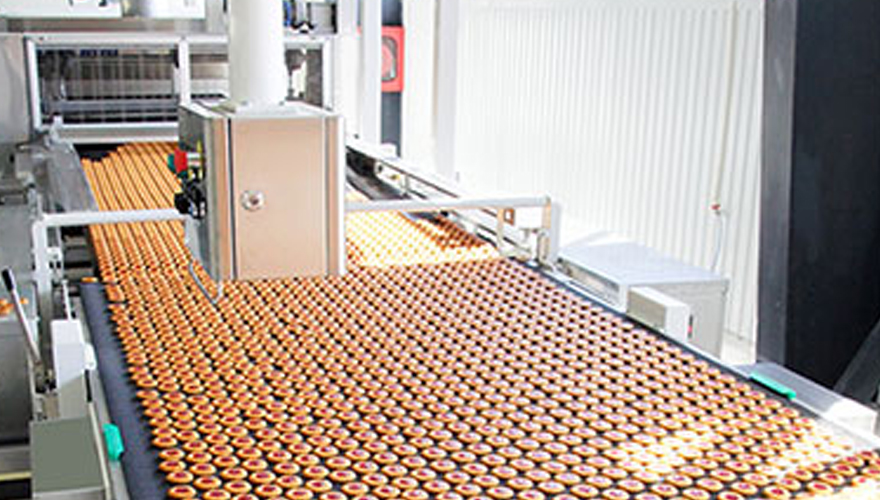 搬送用コンベアベルトの選定・販売（ゴム・樹脂）